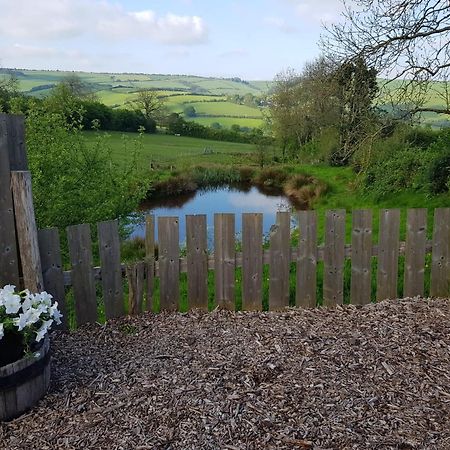 Eco Accommodation Cornflower Craven Arms Luaran gambar