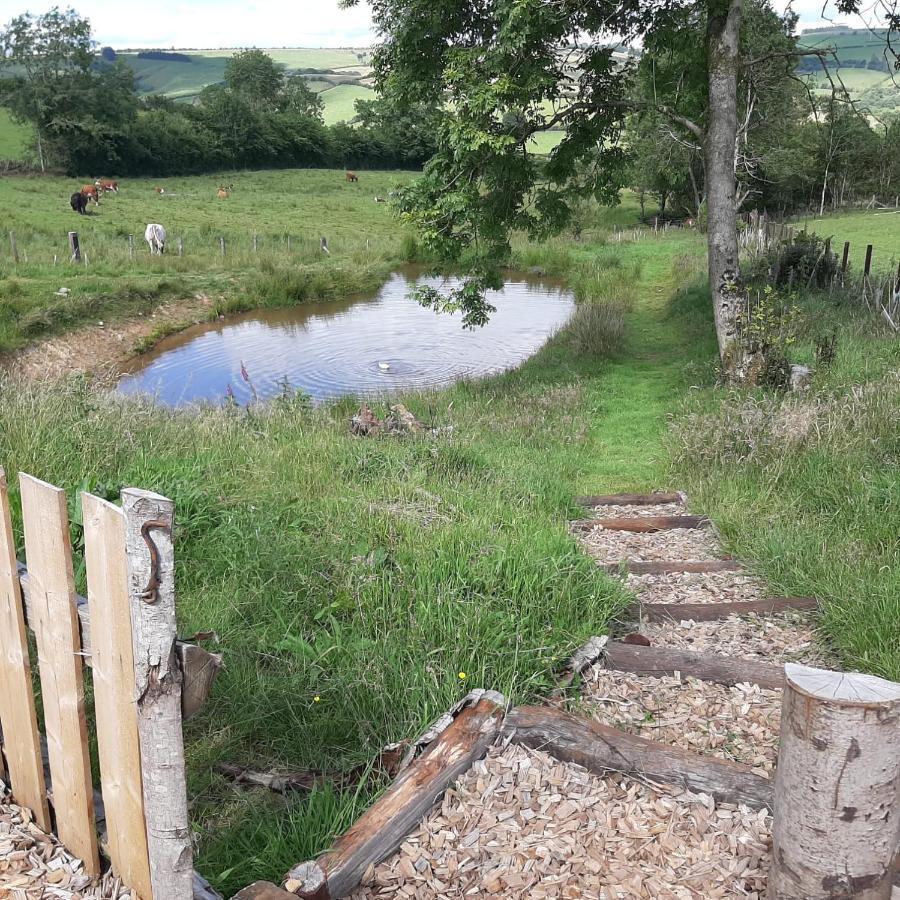 Eco Accommodation Cornflower Craven Arms Luaran gambar