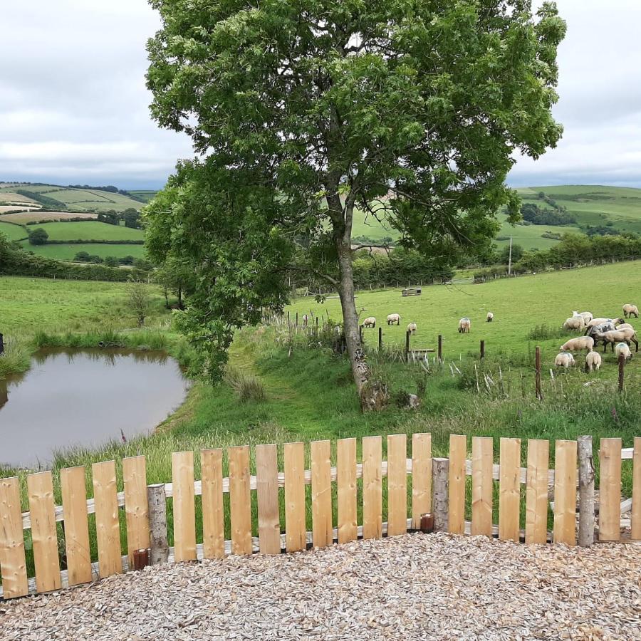 Eco Accommodation Cornflower Craven Arms Luaran gambar
