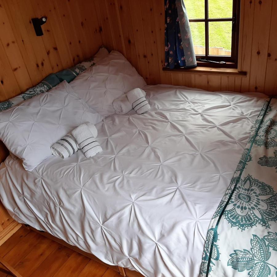 Eco Accommodation Cornflower Craven Arms Luaran gambar