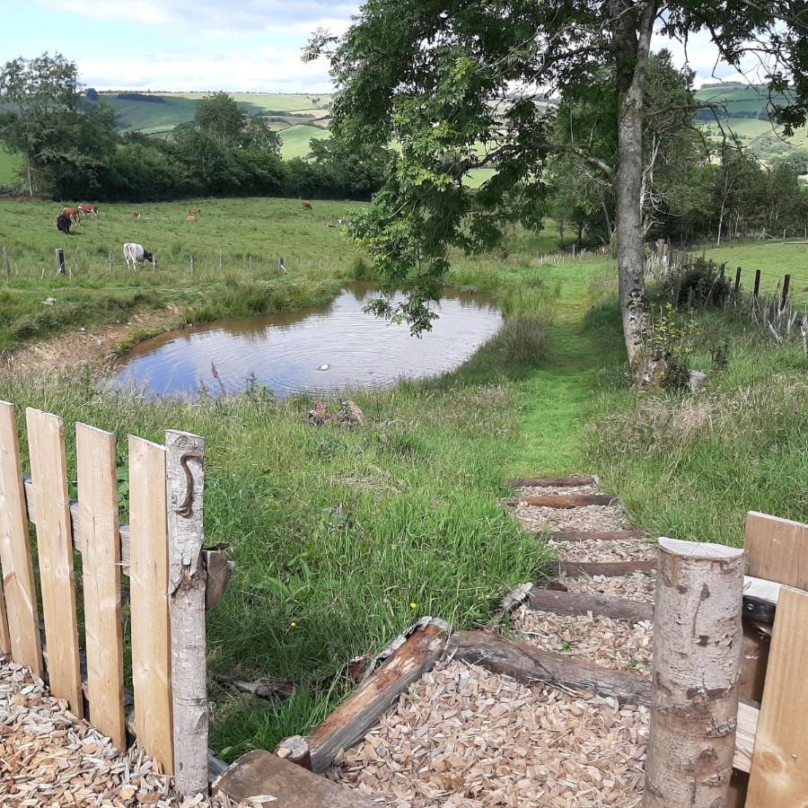 Eco Accommodation Cornflower Craven Arms Luaran gambar