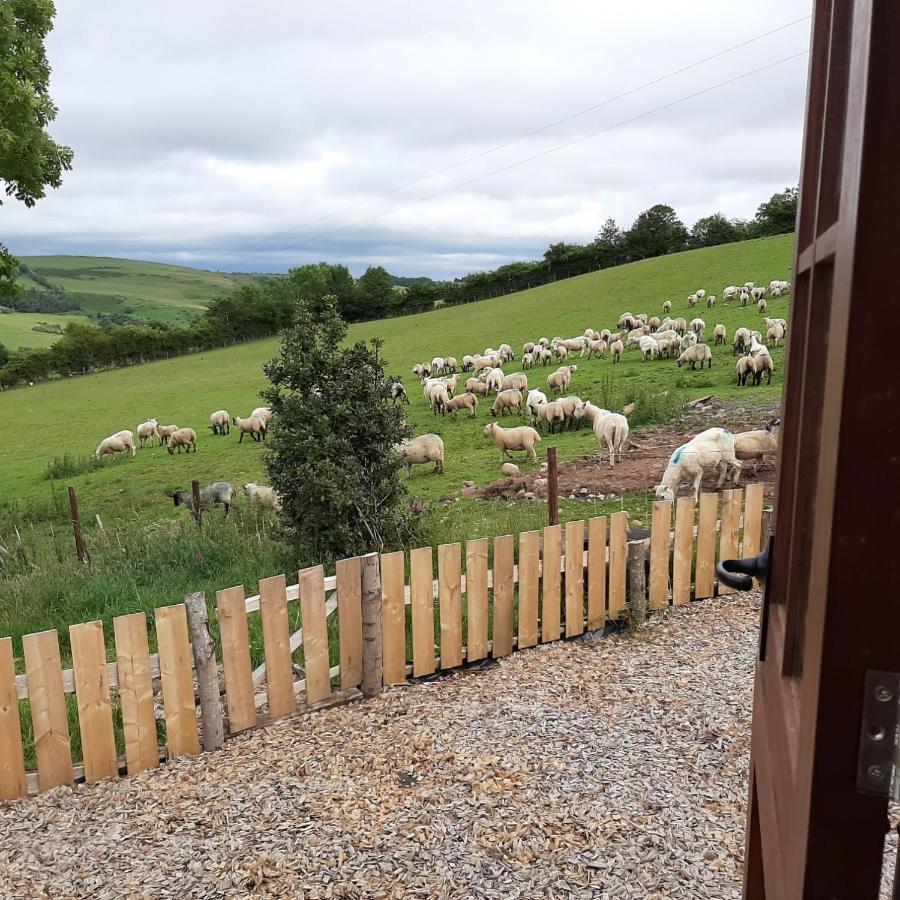Eco Accommodation Cornflower Craven Arms Luaran gambar