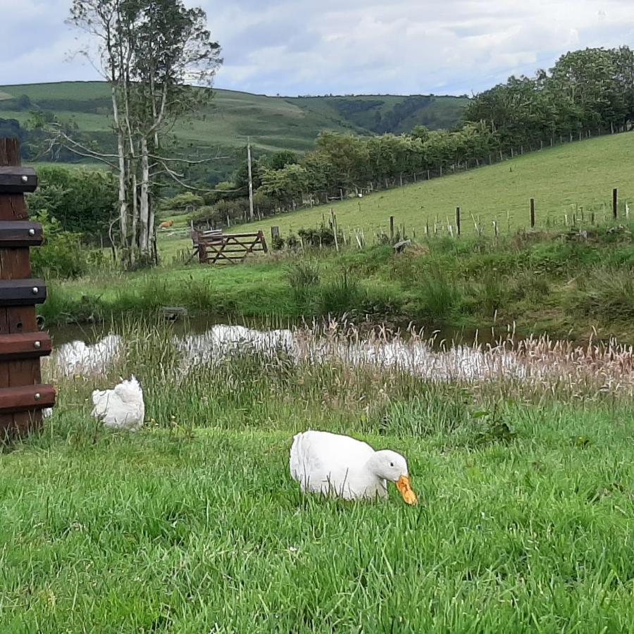 Eco Accommodation Cornflower Craven Arms Luaran gambar