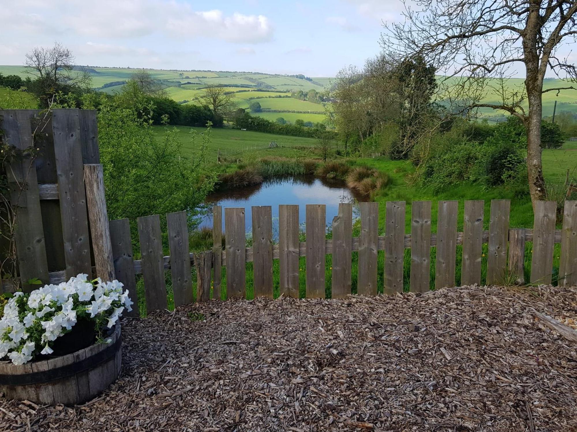 Eco Accommodation Cornflower Craven Arms Luaran gambar