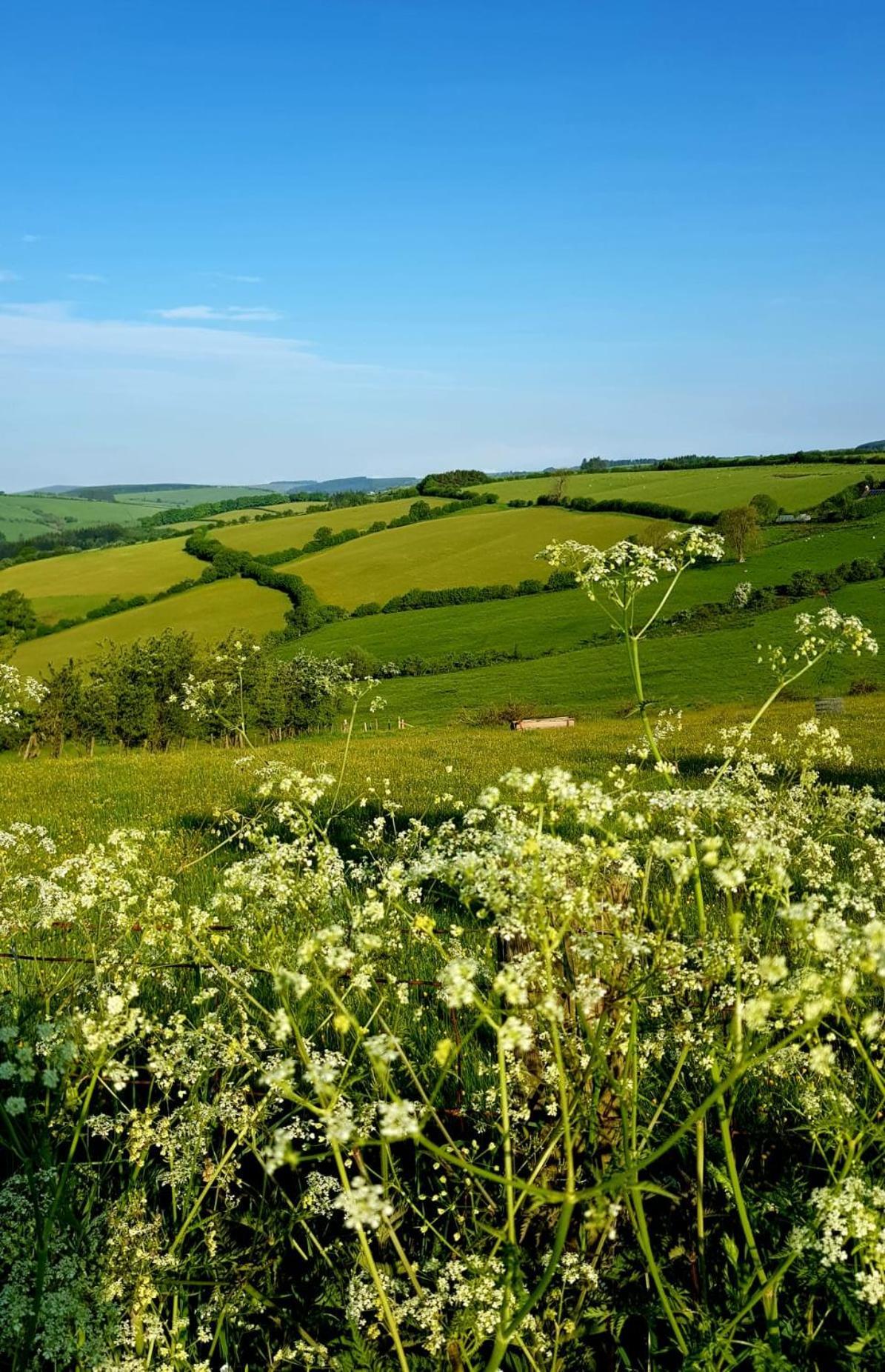 Eco Accommodation Cornflower Craven Arms Luaran gambar