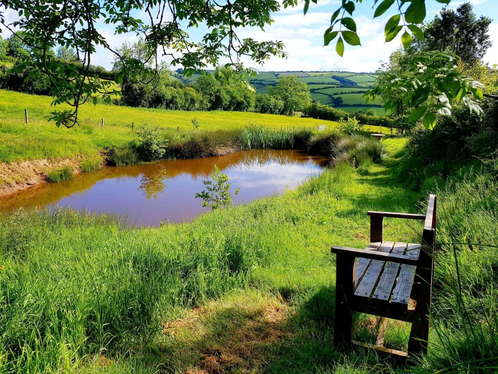 Eco Accommodation Cornflower Craven Arms Luaran gambar